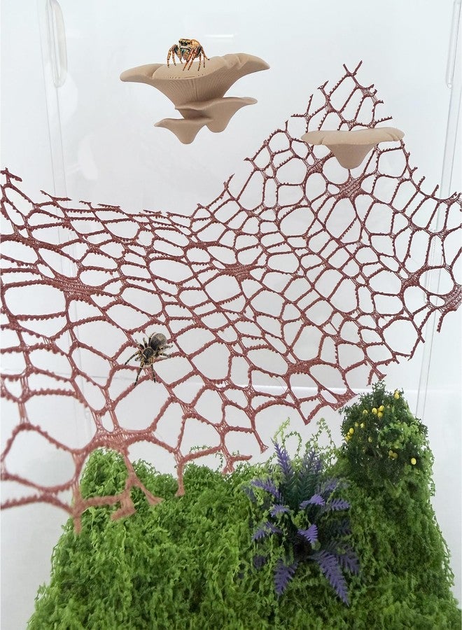 Heyshapeing Jumping Spider Hide Habitat Accessories, Magnetic Mushroom Shelf & Moss Ribbon Web, Climbing and Feeding Platforms for Jumping Spiders, Mantises, Tarantulas, Invertebrates, 3-Pack (Beige) - Image 2